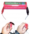 Elektronische Fischköder FishMagnet-2 Super-Sound