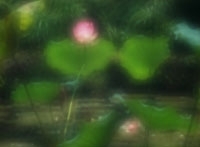 Zonenplatte 70mm Tele für Skink Pinhole Pancake Canon EOS